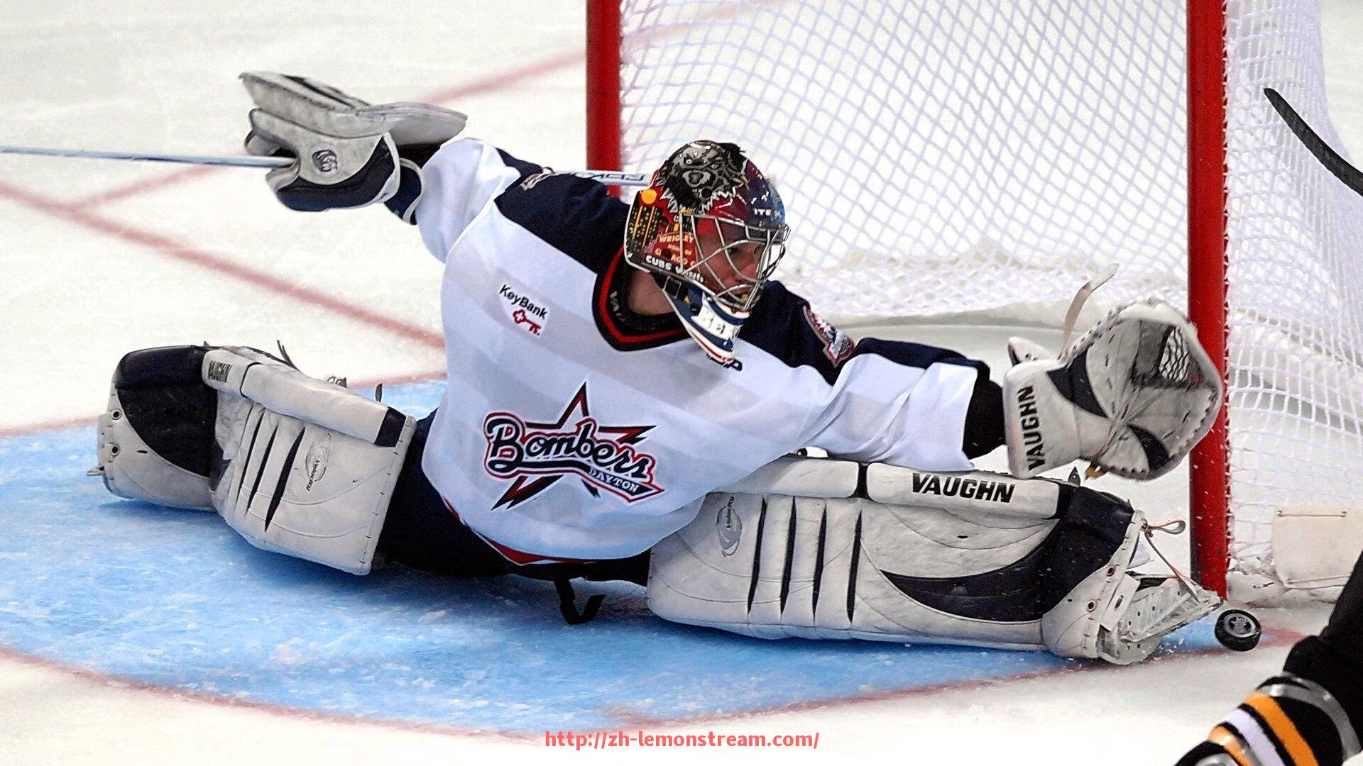 柠檬体育直播-健身房器材采购预算方案与配置性价比分析